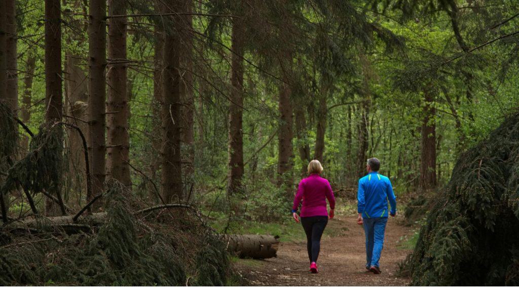 The benefits of daily walking